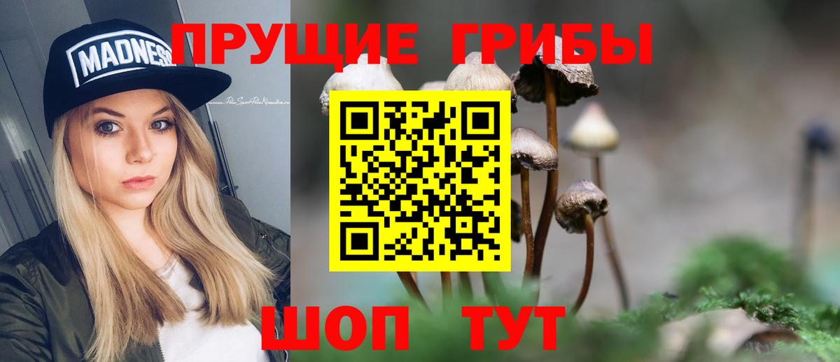 Галлюциногенные грибы MAGIC MUSHROOMS Домодедово